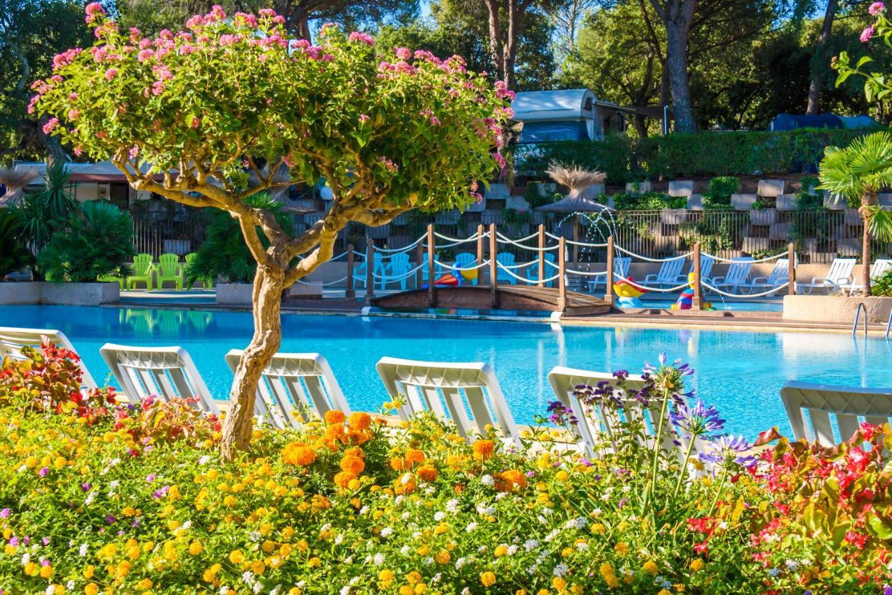 3 Bedroom Chalets Camping Lei Suves - Joycasa ロクブリューヌ・シュル・アルジャン エクステリア 写真